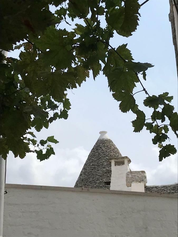Il Trullo Del Palmento Βίλα Αλμπερομπέλο Εξωτερικό φωτογραφία
